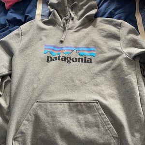 Patagonia mens large logo hoodie